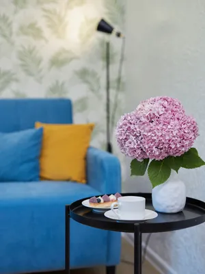 Dendrarium flat с бассейном на крыше — sm.webp