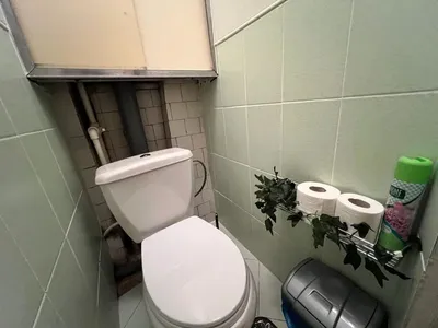 Плюшевый кот — sm.webp