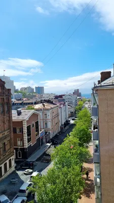 Уютная квартира в самом сердце города Владивосток — sm.webp