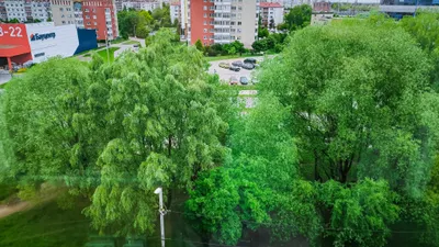 Квартира "Гайдар премьер" — sm.webp