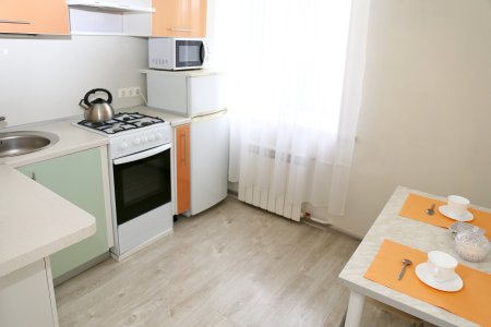 Уютная однокомнатная квартира в самом центре Екатеринбурга — sm.jpg