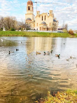 Квартира у пруда  — sm.webp
