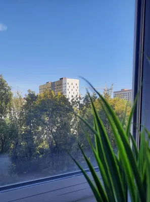 Апартаменты в центре у тц Магеллан — sm.webp