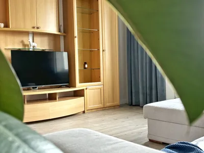 Просторные апартаменты на Тополиной аллее — sm.webp