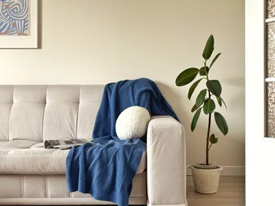 Просторные апартаменты на Тополиной аллее — sm.webp