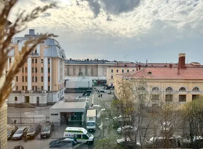 Милый хостел у ЖД Вокзала в СПБ — sm.webp