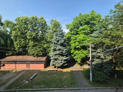 Двушка возле Атажукинского сада и сквера — sm.webp
