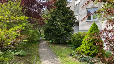 Glamour Apartment — sm.webp