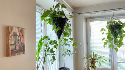 Glamour Apartment — sm.webp