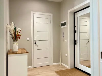 Olive Apartment — xl.webp