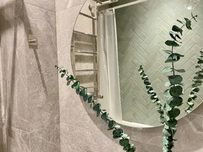 Olive Apartment — sm.webp