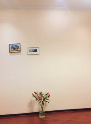 Другой берег Невы - Студия с удобным подоконником) — sm.webp