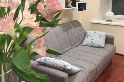 Другой берег Невы - Студия с удобным подоконником) — sm.webp