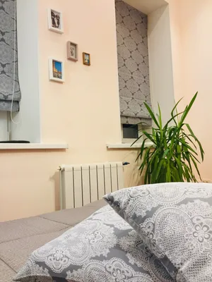 Другой берег Невы - Студия с удобным подоконником) — sm.webp