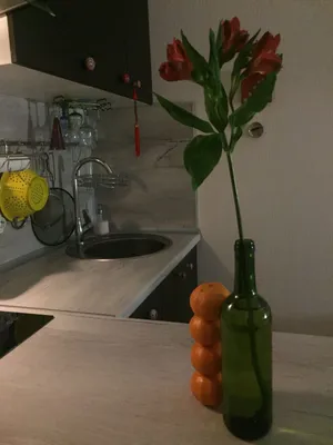 Другой берег Невы - Студия с удобным подоконником) — sm.webp