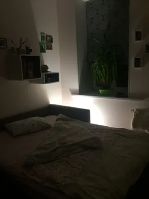 Другой берег Невы - Студия с удобным подоконником) — sm.webp