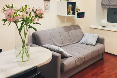 Другой берег Невы - Студия с удобным подоконником) — xl.webp