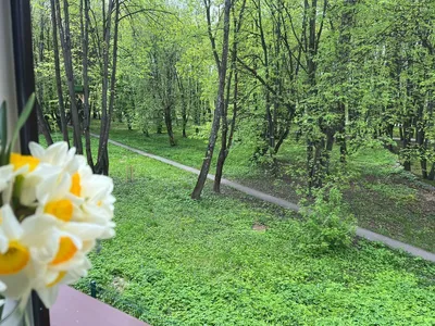 Дизайнерские апартаменты в центре «118 Residence» — sm.webp