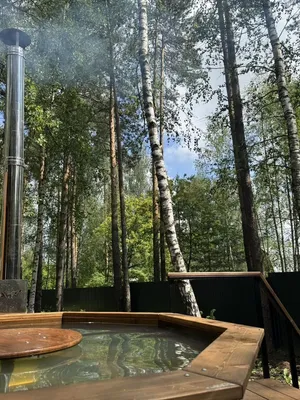 Стильный уютный дoм c бaней в cocновoм лecу — sm.webp