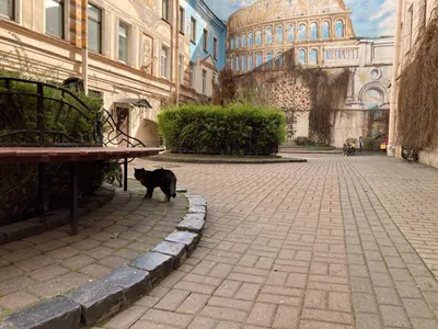 Уютная квартира в супер локации — sm.webp