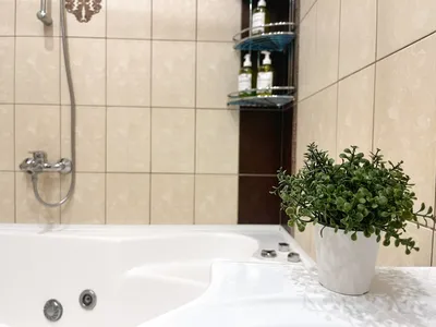 БЕСКОНТАКТНОЕ ЗАСЕЛЕНИЕ/ДЖАКУЗИ — sm.webp