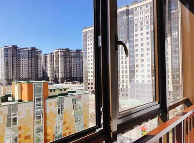 MiCasa у Московских ворот — xl.webp