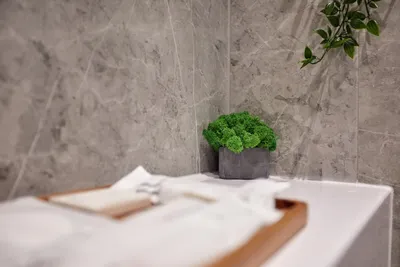 Smart Business Apartment — sm.webp