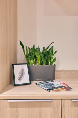 Smart Business Apartment — sm.webp