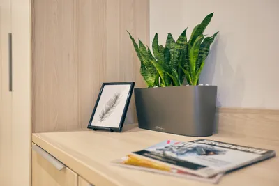 Smart Business Apartment — sm.webp