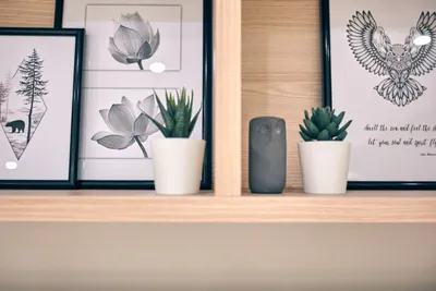 Smart Business Apartment — sm.webp