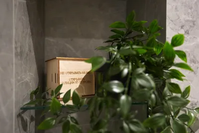 Smart Business Apartment — sm.webp