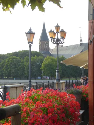 У Юбилейного Моста (Königsberger Dom) — sm.webp