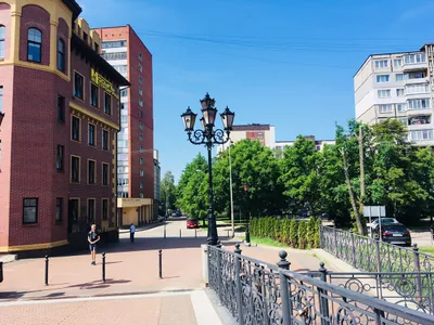У Юбилейного Моста (Königsberger Dom) — sm.webp