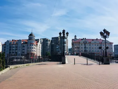 У Юбилейного Моста (Königsberger Dom) — xl.webp
