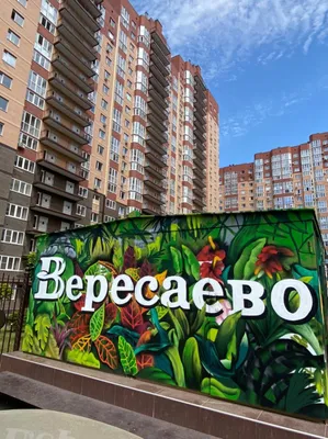 Veresaeva 101 — sm.webp