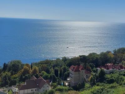 Студия Южное море — xl.webp