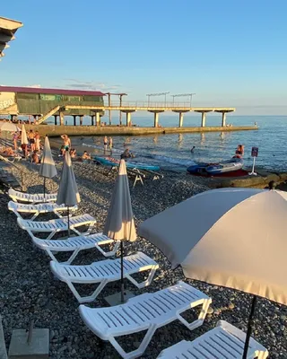 Студия Южное море — sm.webp