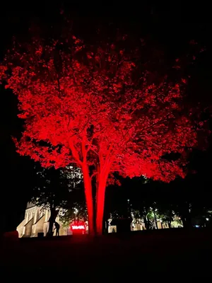 Апартаменты в самом центре города на Космической — sm.webp