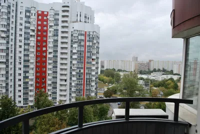 Уютная студия в доме "Миллион алых роз" на Пролетарском проспекте — sm.webp