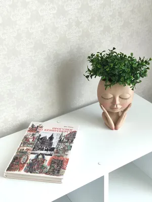 Квартира в Рыбной Деревне, в новом доме с видом на реку — xl.webp