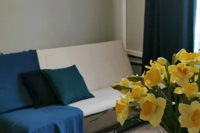 Green Apartment — xl.webp