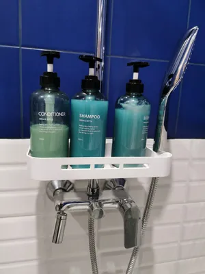 Green Apartment — sm.webp