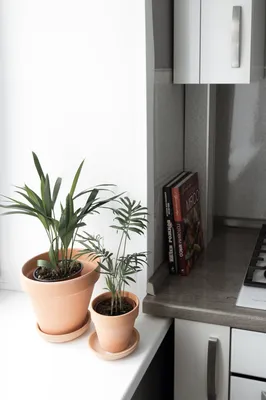 roomroom студия у Сенной — sm.webp