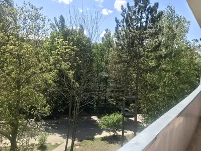 Квартира на Ромашке — xl.webp