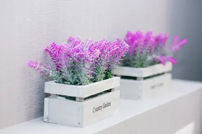 Добро пожаловать в Бруснику! — sm.webp