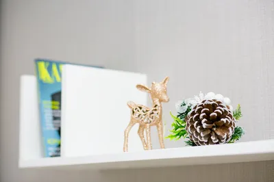 Добро пожаловать в Бруснику! — sm.webp