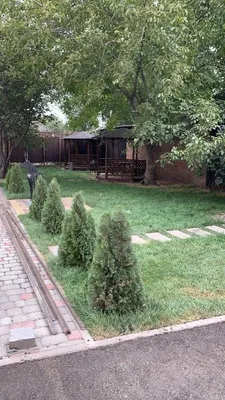 Уютная Атмосфера на Содружества  201 — sm.webp