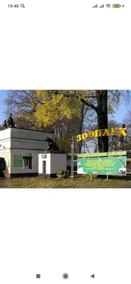 2комн квартира возле Драмтеатра — sm.webp
