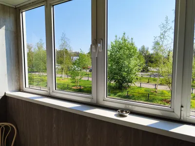 Район Цирка Краснореченская 163 — sm.webp