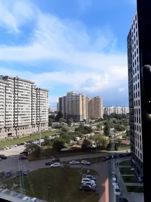Студия в Московском районе  — sm.webp